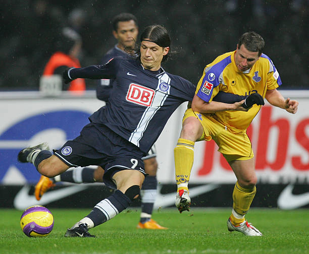 多点开花的 多点开花的